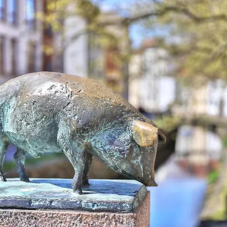 Ohlerich Speicher App_ 10 Отель